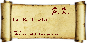 Puj Kalliszta névjegykártya